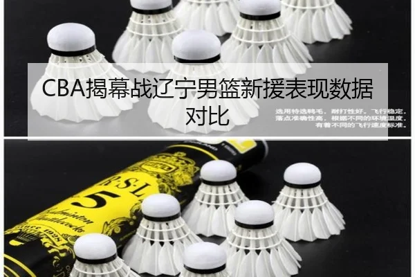 CBA揭幕战辽宁男篮新援表现数据对比